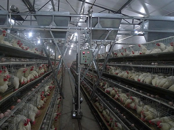 ​電容式接近精东下载安装 養殖業